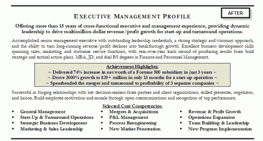 Example resume profile 