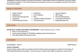 Resume Example with Volunteer Section Page 1